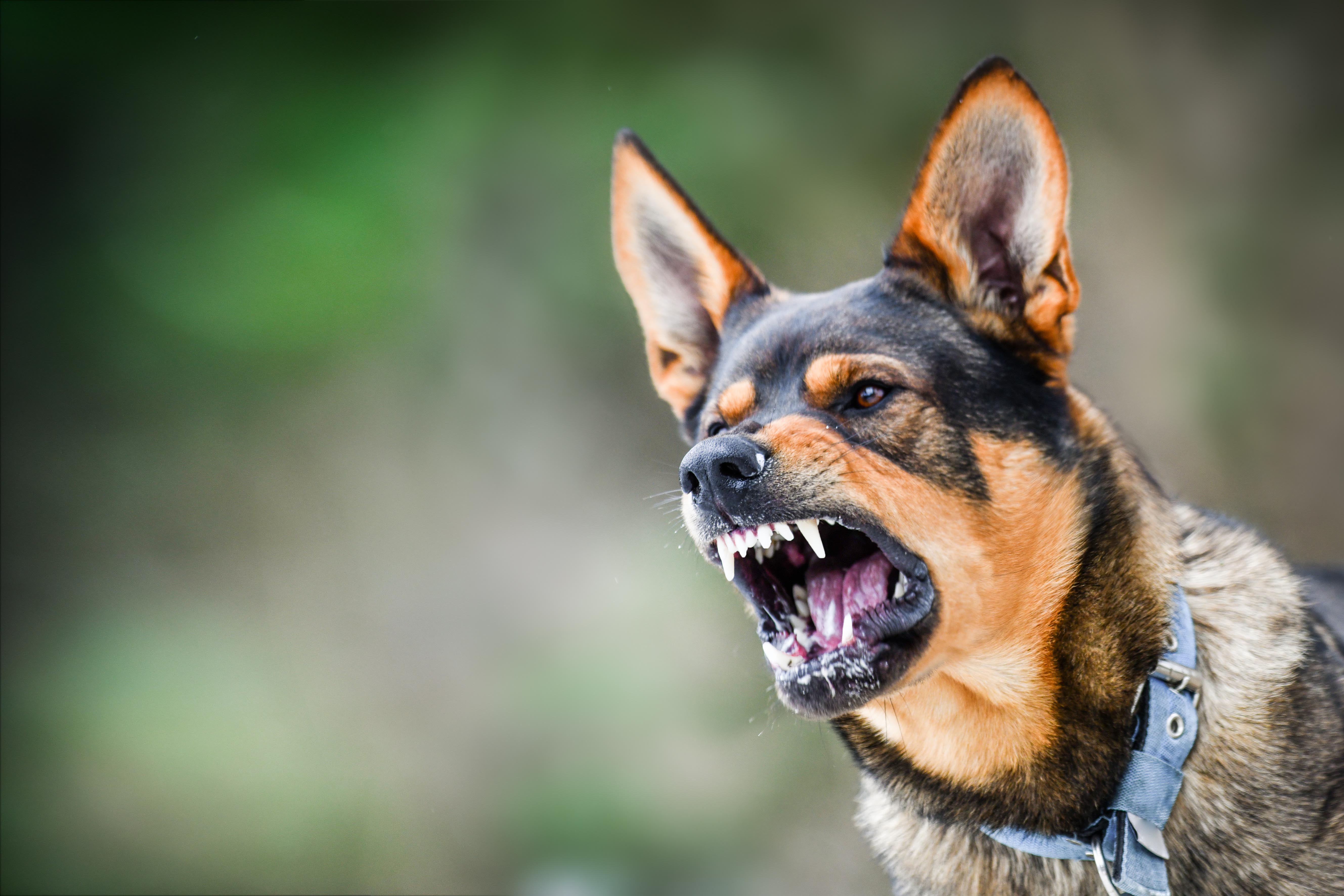 Wattel York Experienced Personal Injury Lawyers Accident
